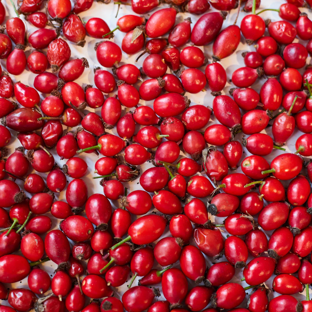 Organic Rosehip Oil - Professional - Image 4