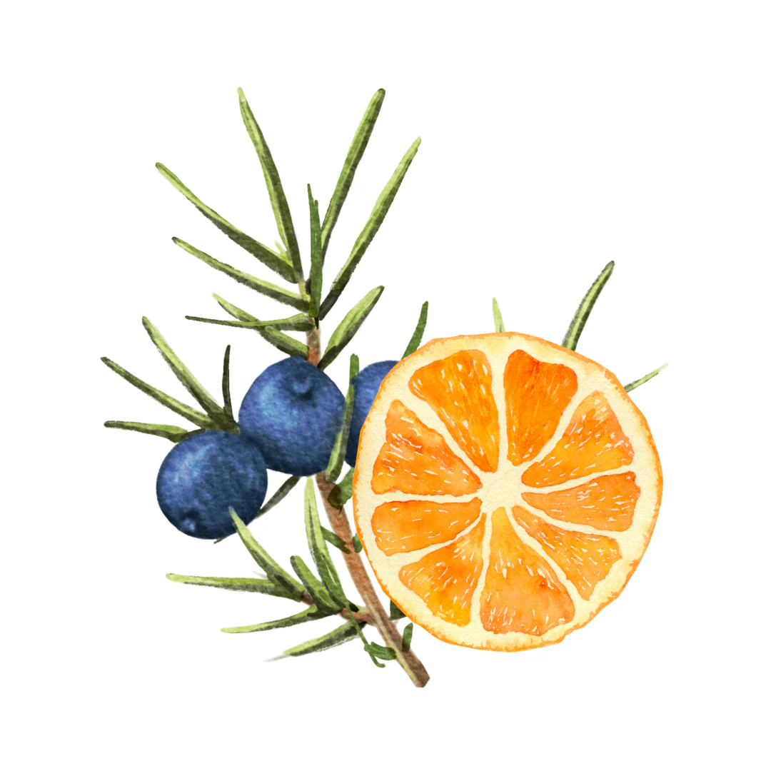 Revive Essential Oil - Image 3